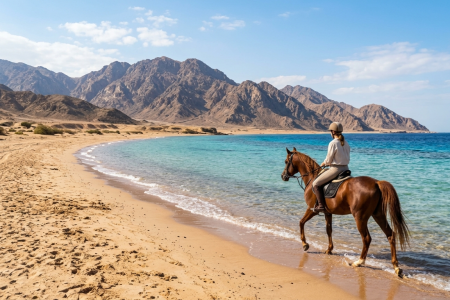 Horse Riding 2 Hours in Nabq Bay beach W/Transfer-Sharm El Sheikh