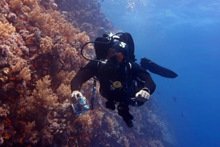 Advanced Open Water PADI Diving Course W/Transfer  - Marsa Alam