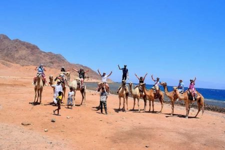 Blue Hole Canyon and ATV Quad By Bus with Camel Ride, BBQ Lunch -Sharm El Sheikh