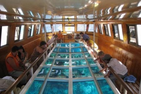 Water Skiing with Glass Boat Viewing and Transfer-Sharm El Sheikh