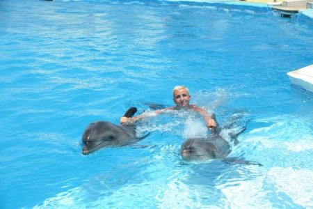 15 Min Swim with the Dolphins with Transfers - Sharm El Sheikh