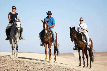 Desert Horseback Ride One Hour with Transfer  - Marsa Alam