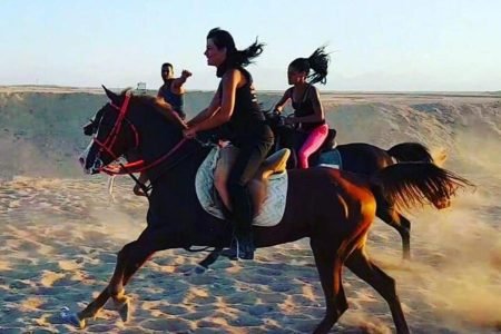 Horse Riding One Hour at Desert With Transfer - Sharm El Sheikh