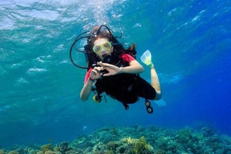 Scuba Diving 2 Stops Boat Trip for beginners & Lunch  - Marsa Alam