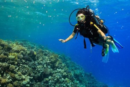 Marsa Mubarak Snorkeling & 1 Diving Adventure & Lunch  - Marsa Alam