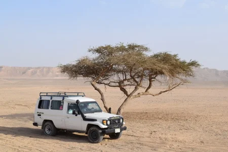 Safari by Jeep & Camel ride With Show & Dinner  - Marsa Alam