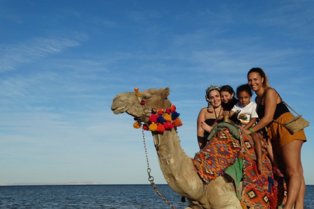 Camel Ride One Hour At Amazing Desert with Transfer  - Marsa Alam