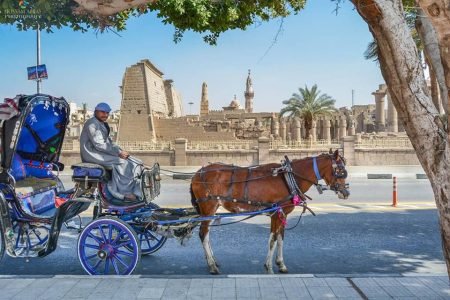Horse Carriage Ride & Private Nile Boat Cruise - Luxor