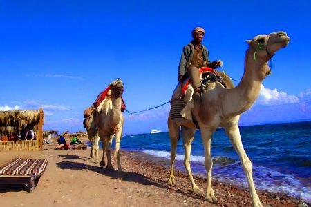 3 Pools Dahab Trip and Canyon By Bus & Camel Ride-Sharm El Sheikh