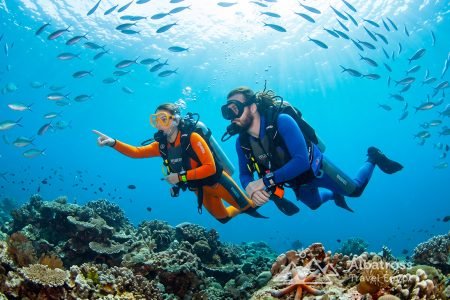 Professional Scuba Diving Adventure with Lunch - Sharm El Sheikh