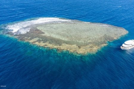 Coral Garden Sea Trip & intro dive With Transfers  - Marsa Alam