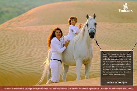 Horse Riding At Desert 2 Hours with Transfer - Sharm El Sheikh
