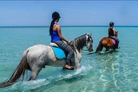 1 Hour Turkish Bath and 1 Hour Horse Riding - Sharm El Sheikh