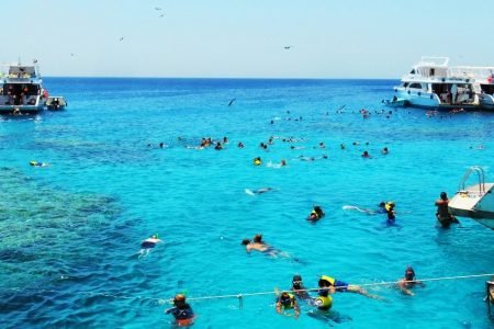 Coral Gardens Full Day Snorkeling Sea Trip & Lunch  - Marsa Alam