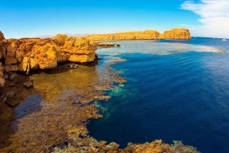 Ras Mohamed National Park Amazing Half Day by Bus-Sharm ElSheikh